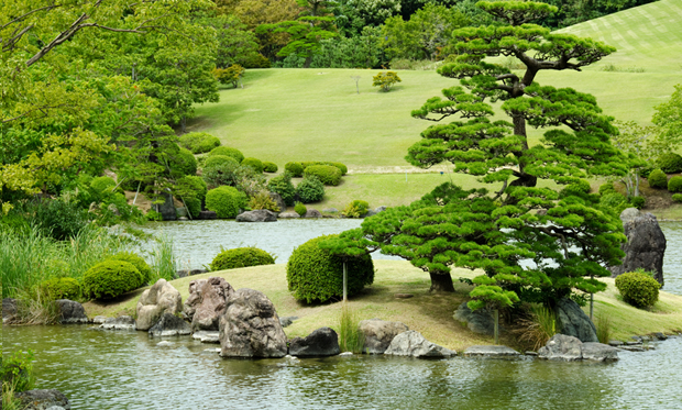 Water Garden