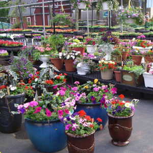 Garden Fertilizer Center Store