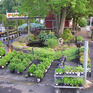 Garden Center Our Store 14