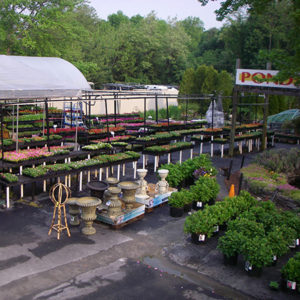 Garden Center Our Store 16