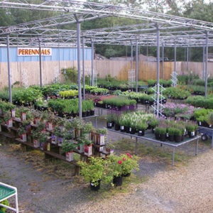 Organic Garden Fertilizer Center Store