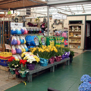 Garden Center Store