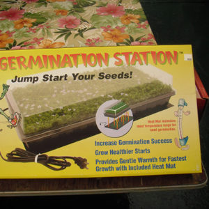 Germination Station