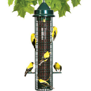 Squirrel Buster Finch Wild Bird Feeder