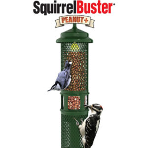 Squirrel Buster Peanut+ Wild Bird Feeder