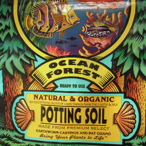 ocean forest potting soil