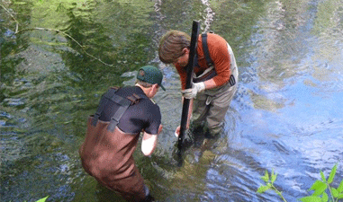 Optimum Water Quality