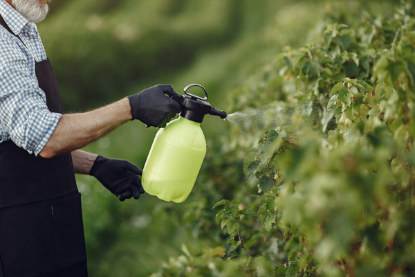 Liquid Organic Fertilizers